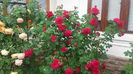 20170527_110010 - Copy