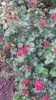20170527_110249 - Copy