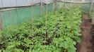 20170527_124912 - Copy