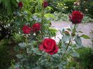 IMGP0489
