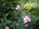 Avant Garden