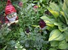 Black Baccara