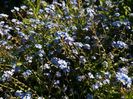 Picture 053