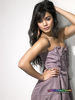 nessa 2