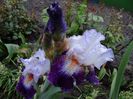 Impression de Jouy