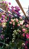 received_1355487361155468