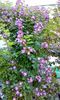received_1355487831155421
