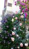 received_1355487977822073