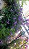 received_1355488014488736