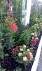 received_1356294751074729