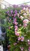 received_1356367061067498