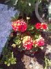 received_1350804928339216