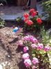 received_1350804035005972