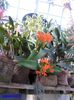 SAM_5551