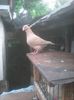 Photo0705