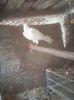 Photo0709