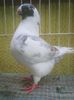 Photo0719