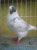 Photo0720
