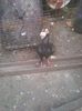 Photo0751