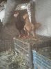 Photo0753