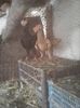 Photo0754