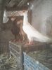 Photo0756