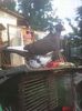 Photo0776