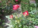 IMGP0643