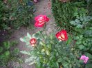 IMGP0648