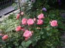 IMGP0659