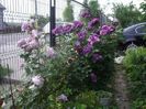 IMGP0660