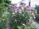 IMGP0688