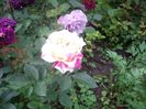 IMGP0722