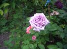IMGP0723