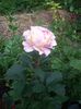IMGP0727