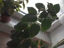 WIN_20170604_102428