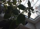 WIN_20170604_102443