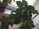 WIN_20170604_102510
