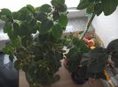 WIN_20170604_102216