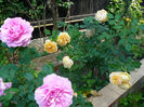 Princess Alexandra of Kent si Golden Celebration