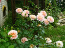 Abraham Darby