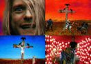 ♥ NIRVANA - Heart-shaped box ♥ 《OhBaldwin》