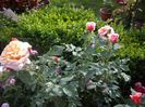 IMGP0810