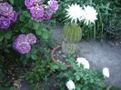 IMGP0828