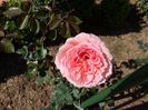 Abraham Darby4