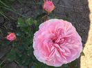 Abraham Darby5