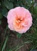 Abraham Darby8