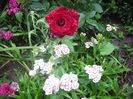 IMGP0842