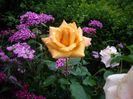 IMGP0843