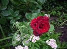 IMGP0844